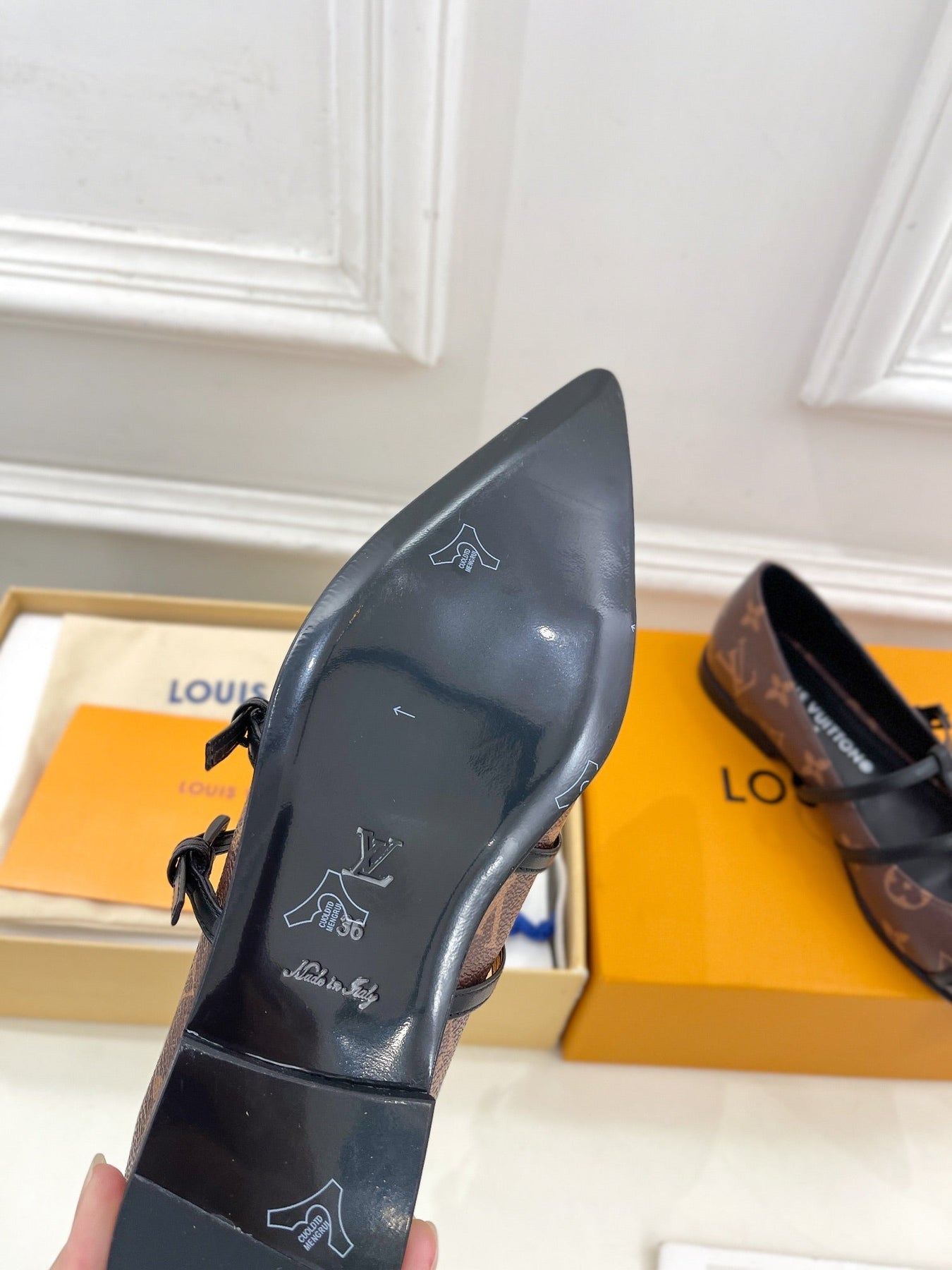 POINTED FLAT SHOES IN CHOCOLATE BROWN MONOGRAM CALFSKIN