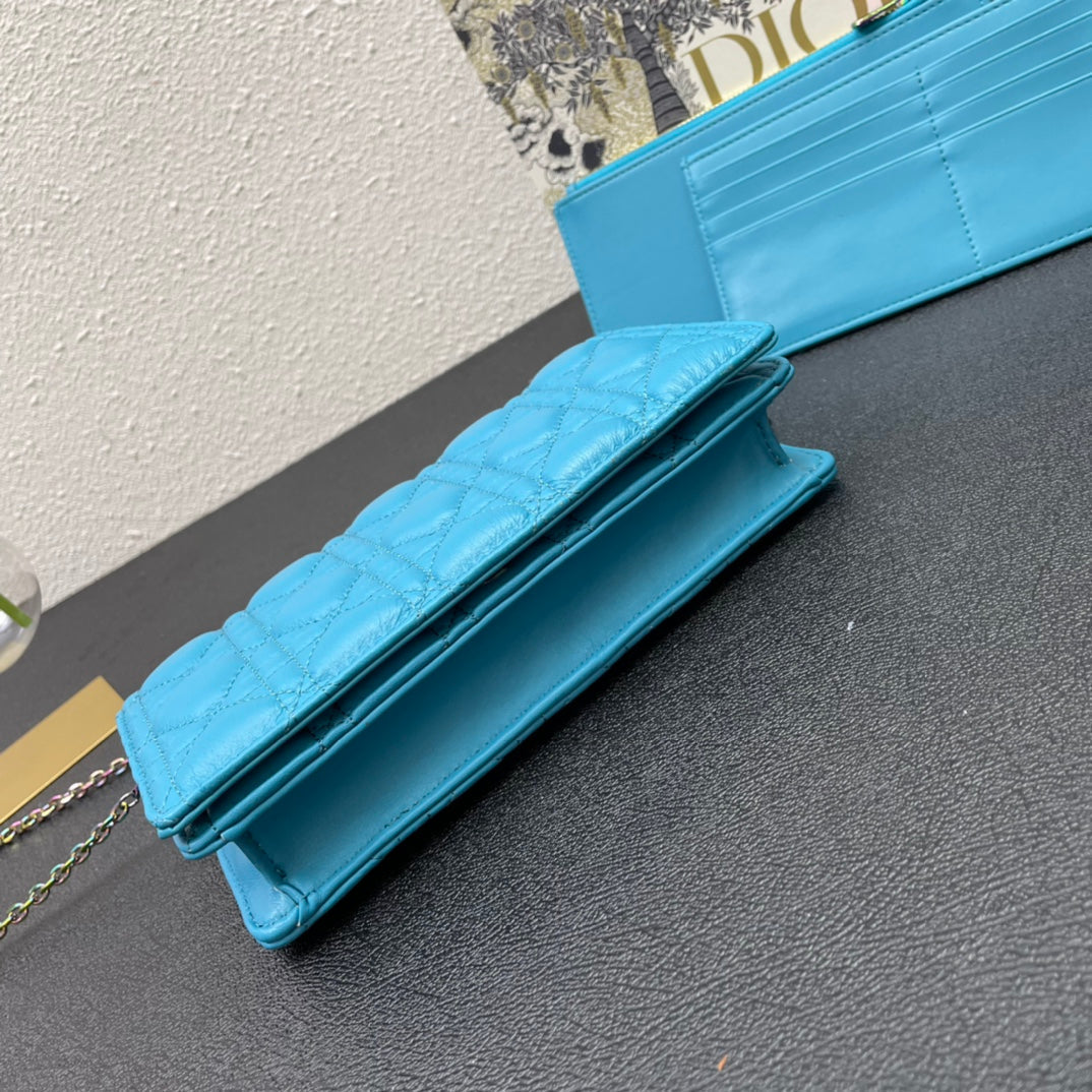 CARO SLIM POUCH 21 BAG IN SKY BLUE CALFSKIN