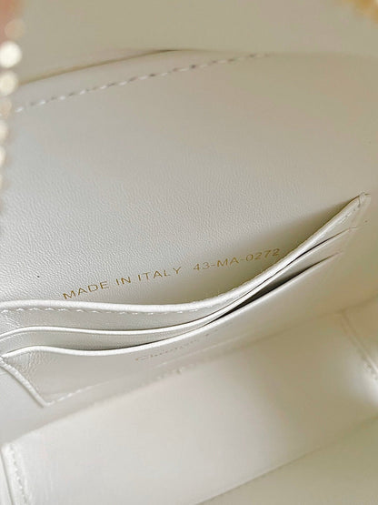 CARO 18 CAMERA BAG IN WHITE CALFSKIN