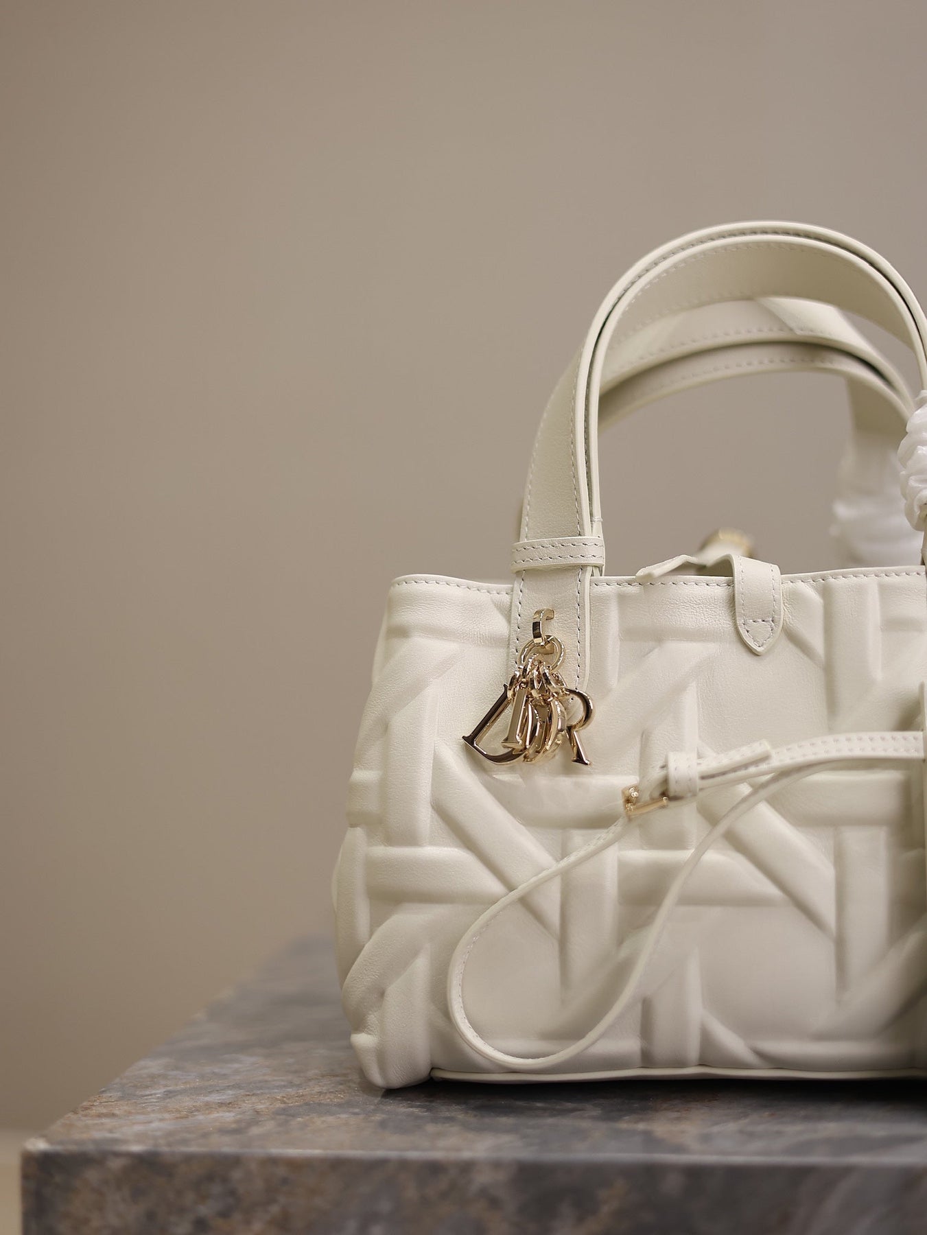 MINI TOUJOURS BAG 23 IN WHITE CANNAGE GRAPHIC CALFSKIN