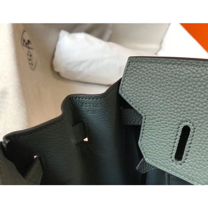HERM Birkin 30cm Bag In Vert Amande Clemence Leather GHW