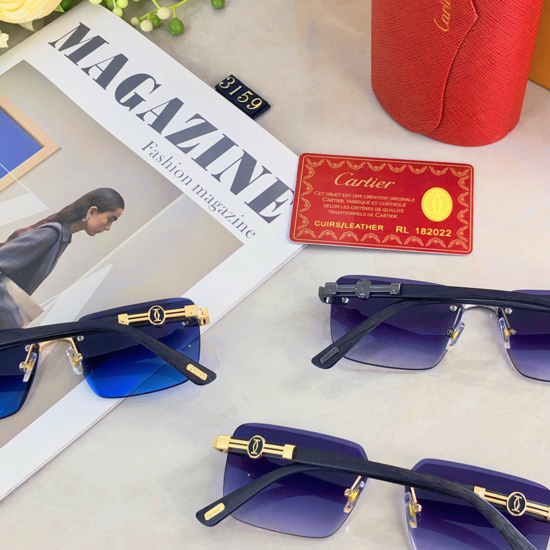 PREMIÈRE RIMLESS RECTANGULAR FRAME SUNGLASSES 575701 IN METAL