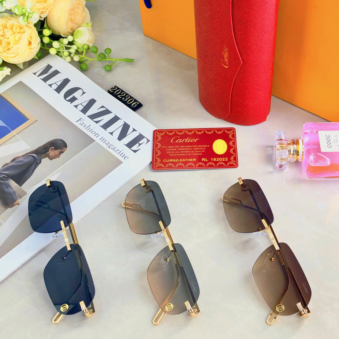 C DE RECTANGULAR SUNGLASSES  578002 IN METAL