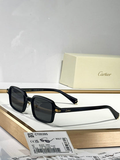PREMIÈRE SQUARE FRAME SUNGLASSES CT0539S IN ACETATE