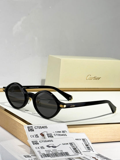 PREMIÈRE GEOMETRIC FRAME SUNGLASSES CT0540S IN ACETATE