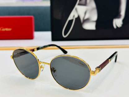 PREMIÈRE ROUND FRAME SUNGLASSES CT0490S IN METAL