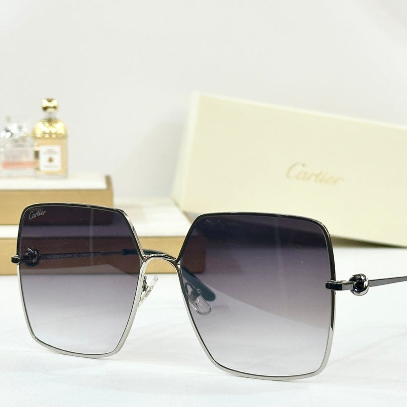 C DE OVERSIZED SQUARE FRAME SUNGLASSES CT0361 IN METAL