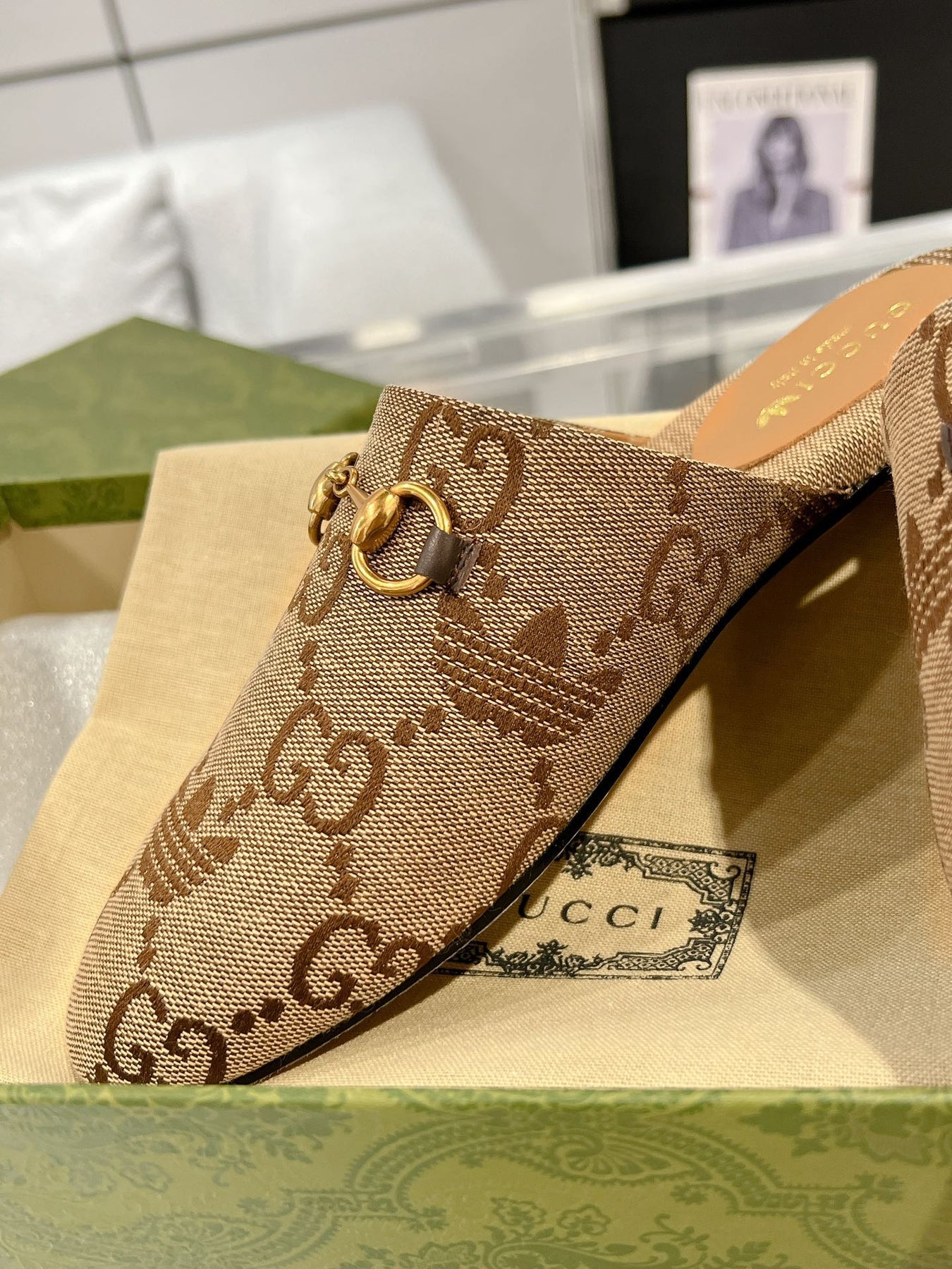 GG & ADIDAS MULE HORSEBIT BUCKLE LIGHT BROWN CANVAS