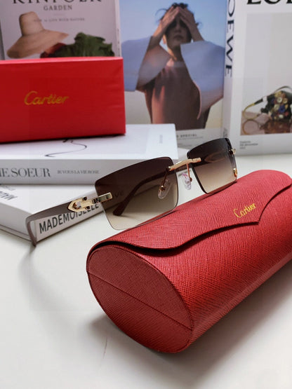 C DE RECTANGULAR FRAME SUNGLASSES 555890 IN METAL AND ACETATE